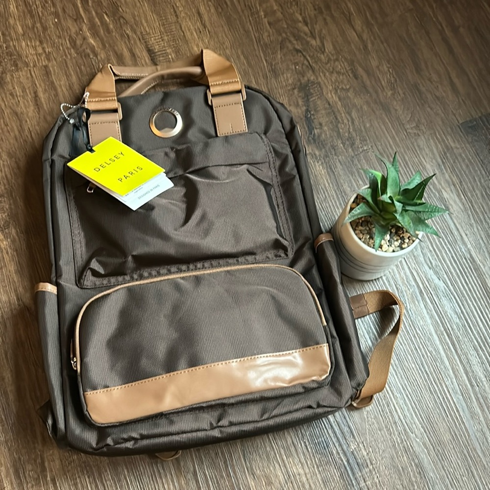 Delsey backpack